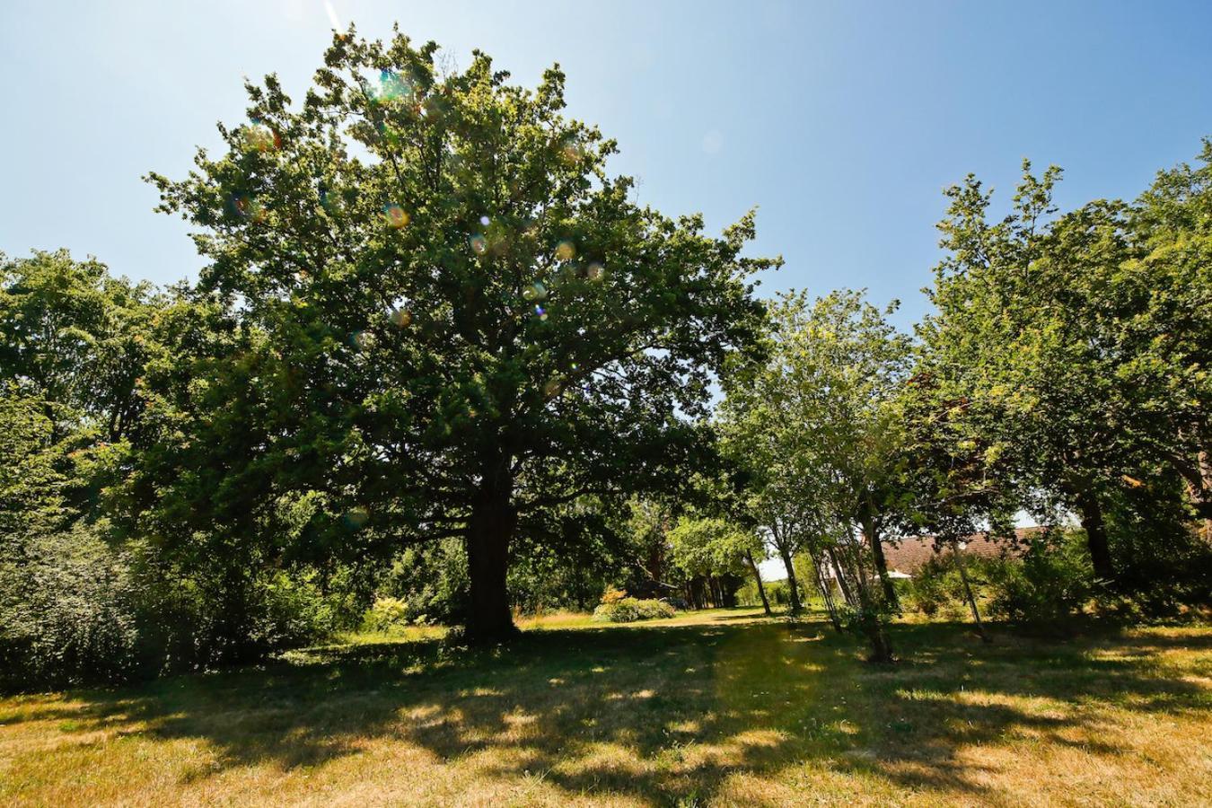 Domaine La Faix, Gite La Chouette Saint-Plaisir Экстерьер фото