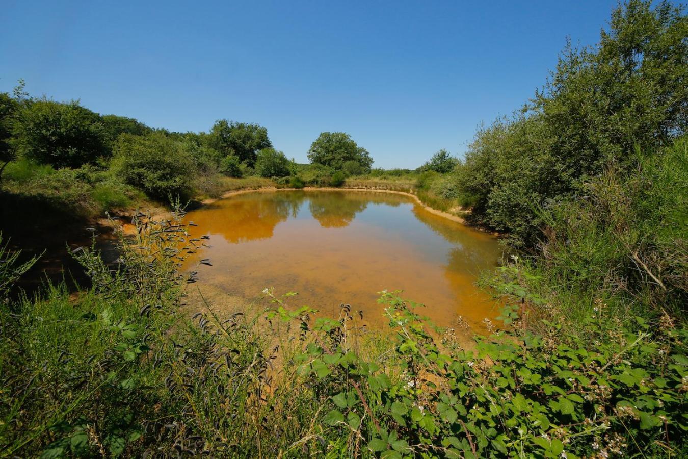 Domaine La Faix, Gite La Chouette Saint-Plaisir Экстерьер фото